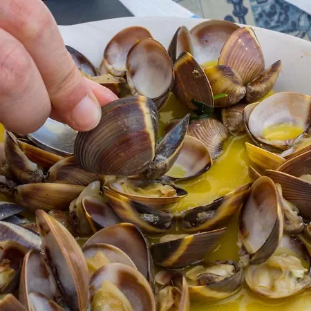 Apartment B07 - Maria Vitoria In Center *